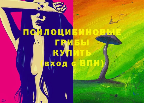 мяу мяу мука Новозыбков